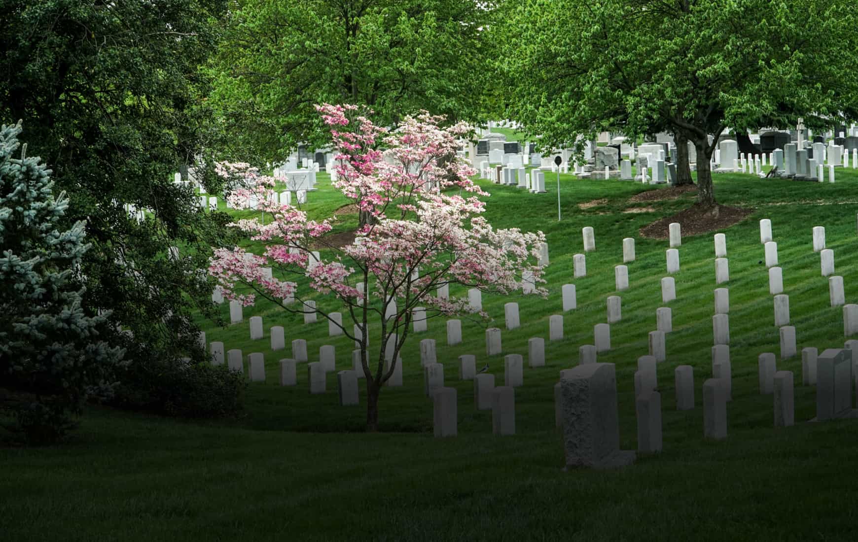 Сбор данных