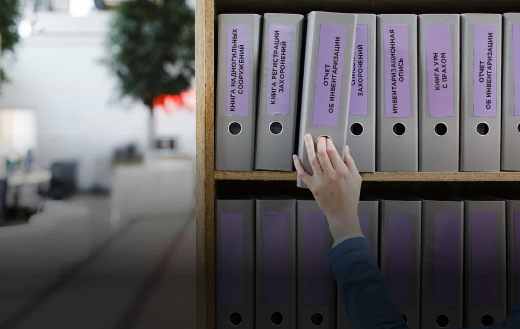 Формирование отчетов